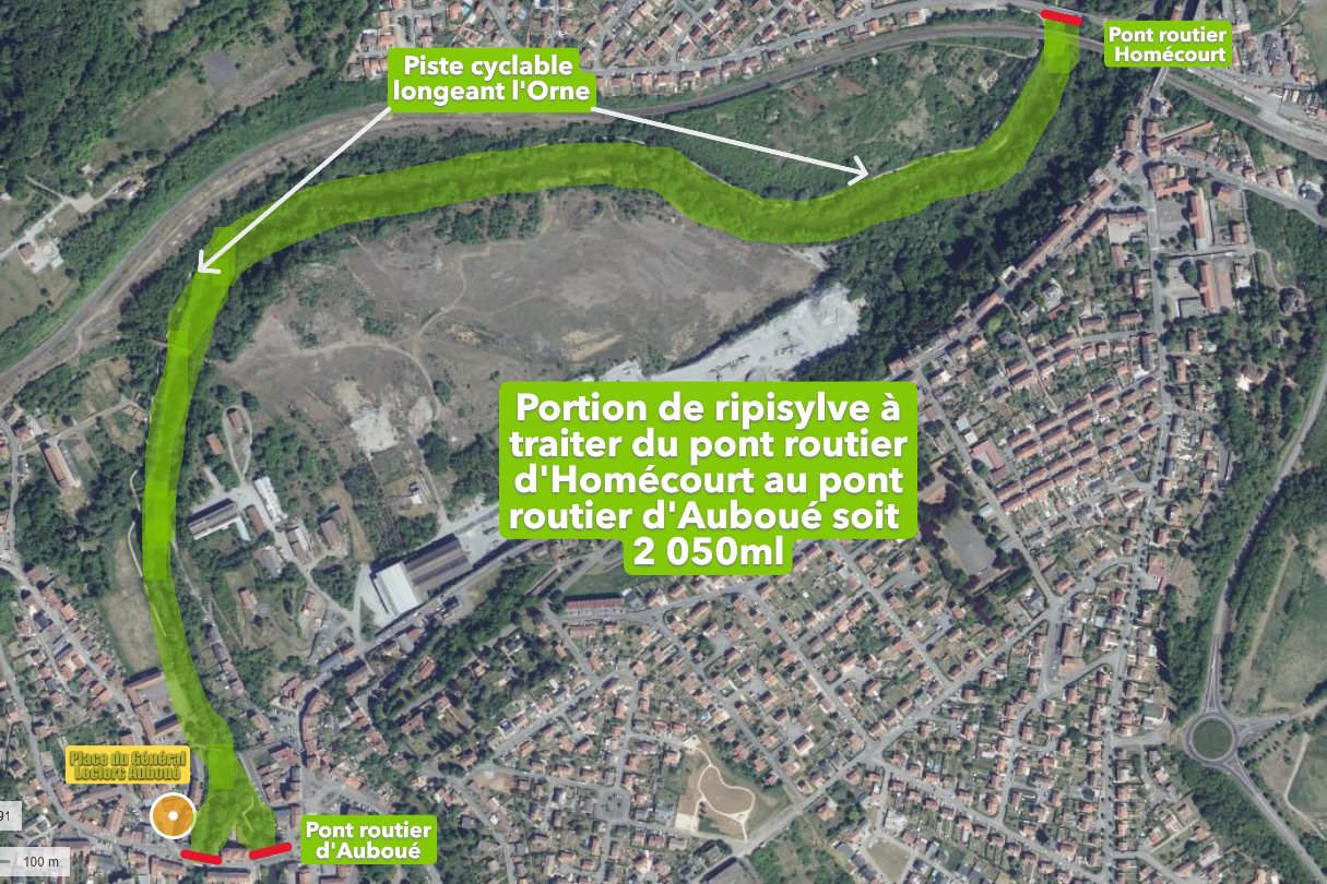 Ripisylve (Auboué - Homécourt)