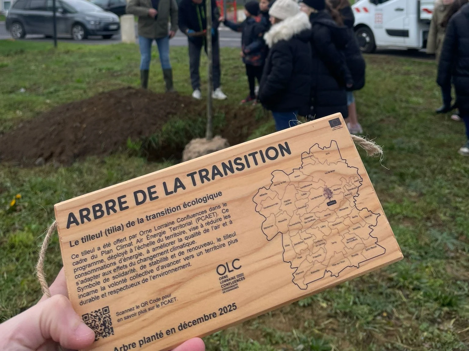 Arbre de la Transition (1)