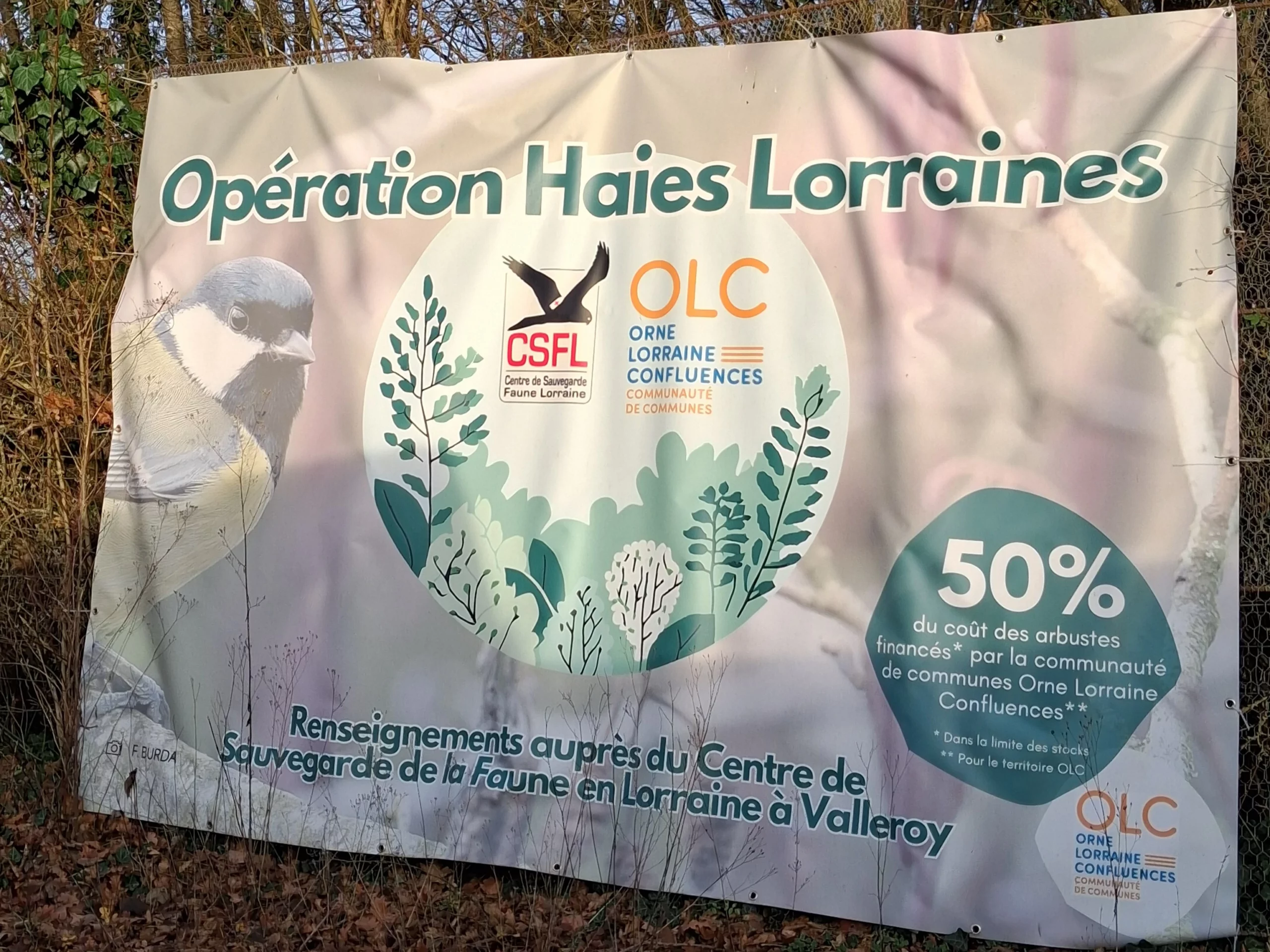 Opération Haies Lorraines (3)