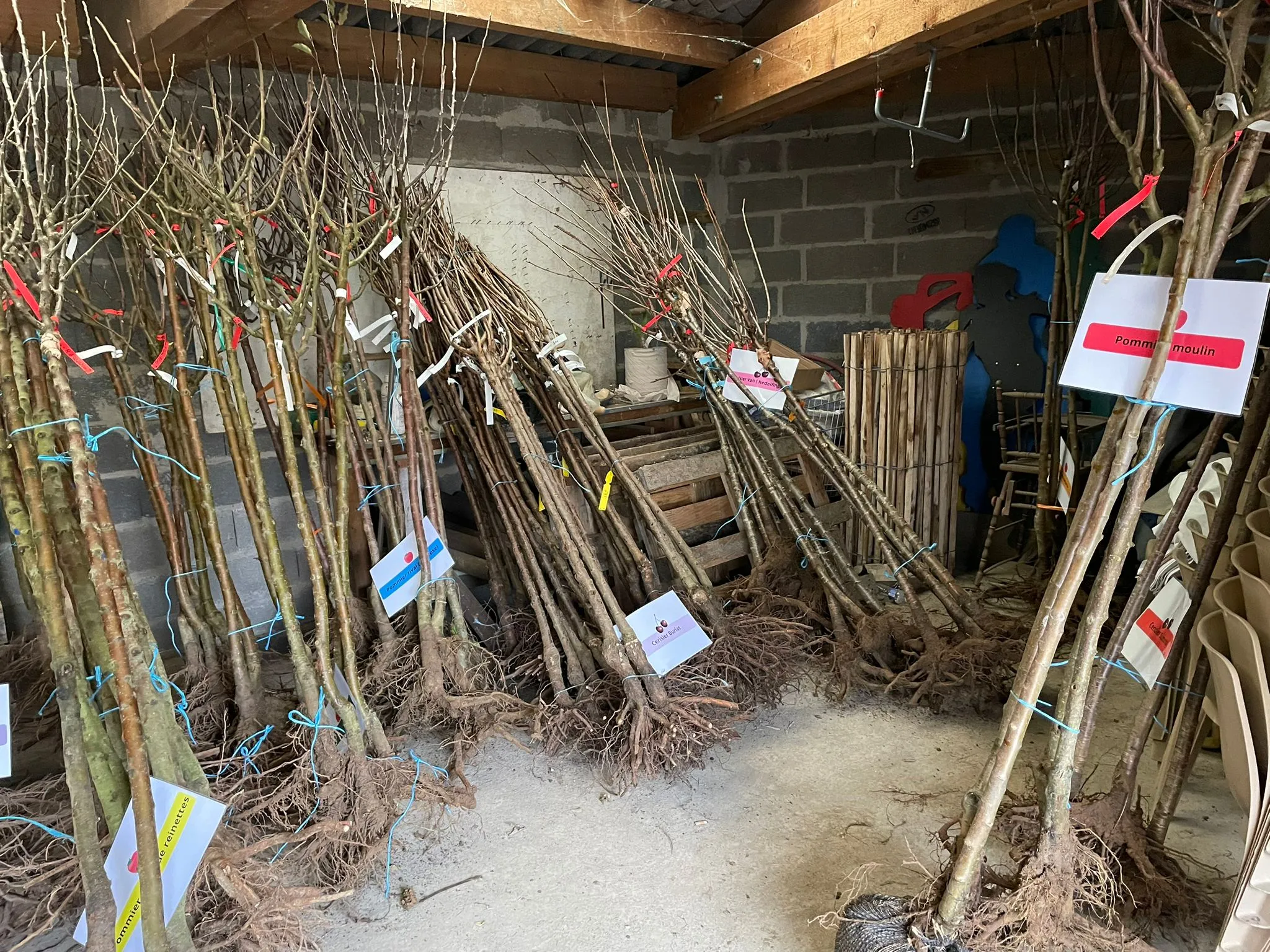 Opération Vergers Lorrains (1)