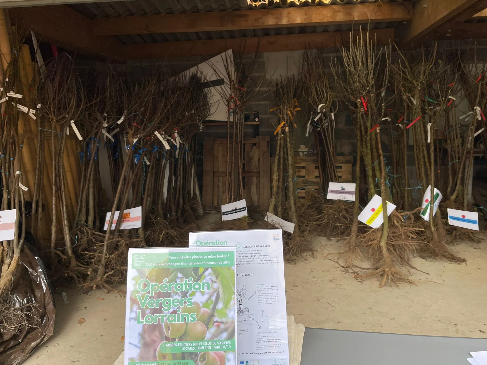 Opération Vergers Lorrains (2)